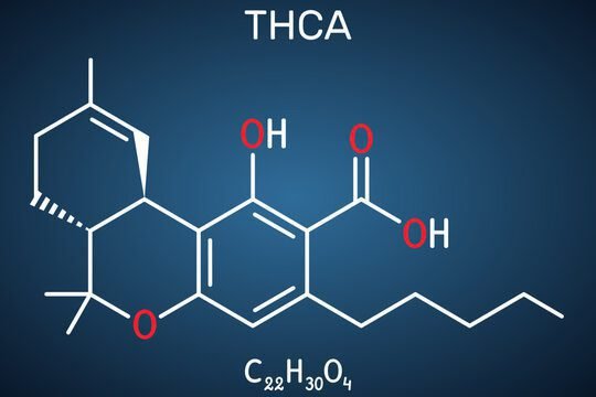 What is thca?