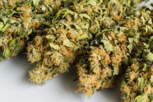 Why Does Weed Make Me Poop?