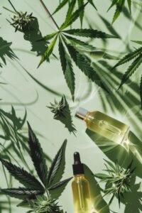 What is THC-B?