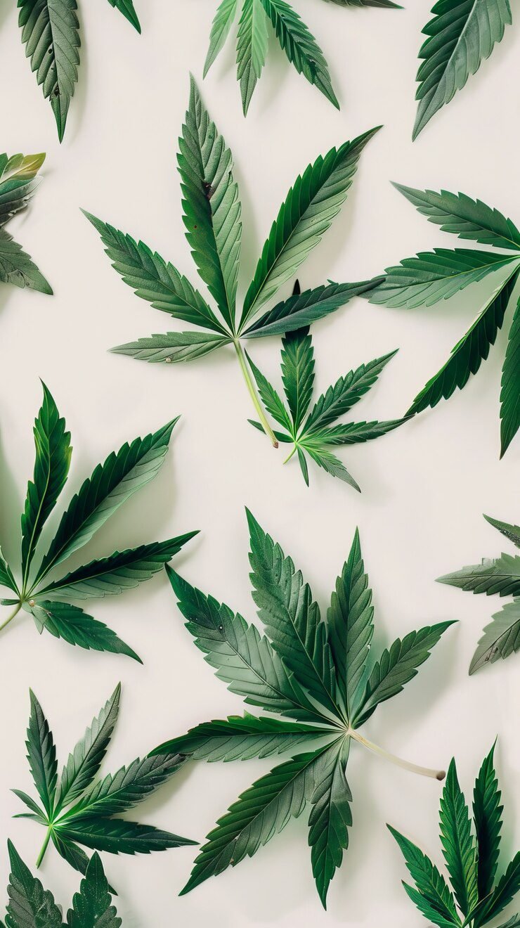 Can You Smoke Weed Before a Tattoo?