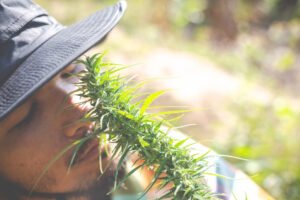 Understanding CBG