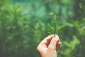 Benefits of Hemp