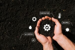How Climate and Soil Affect Hemp Quality: A Deep Dive into Environmental Impact