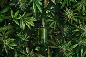 How to Use CBD for a More Restful Evening Routine