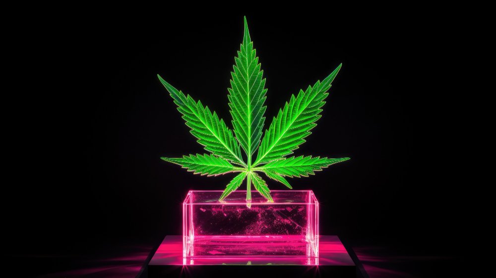 Pineapple Express THCA: A Deep Dive into the Tropical Powerhouse
