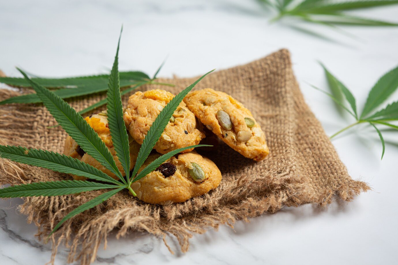 Sativa vs Indica Edibles: Combining with Other Activities for Enhanced Experience