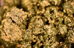 Crumble THC Potency comparison with other concentrates