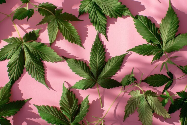 Gelato Strain Exploring Its Typical Effects and User Experience