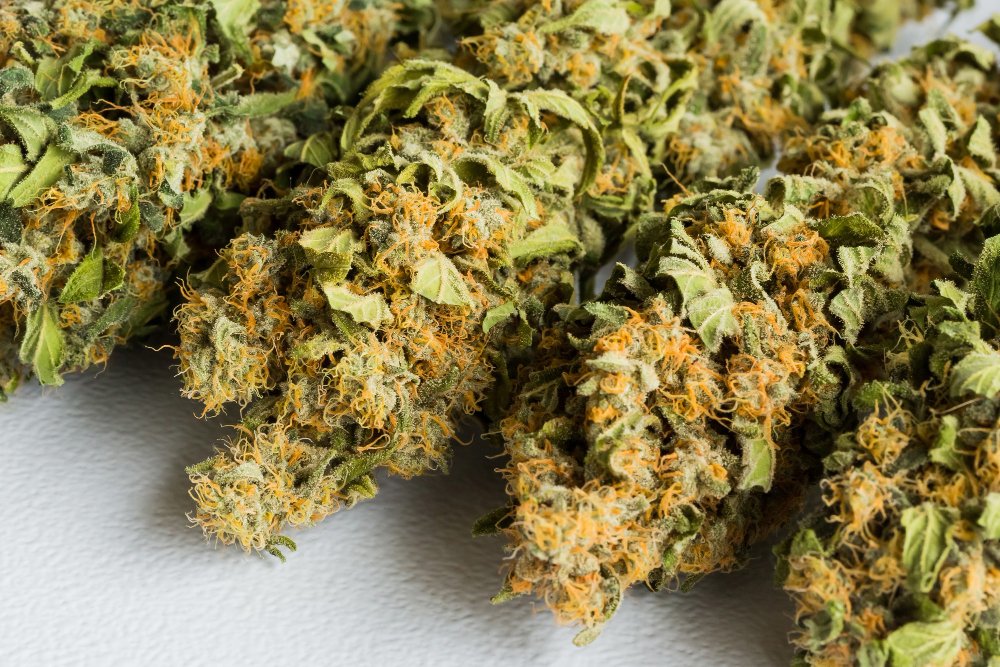 Best Delta 8 Flower: What to Know Before You Buy